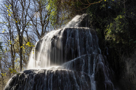 beautiful waterfall in the forest on a sunny spring day, close-up