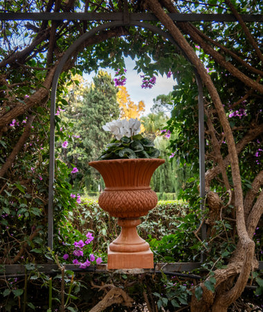 Ornamental plants in a terracotta pot in the gardenの写真素材
