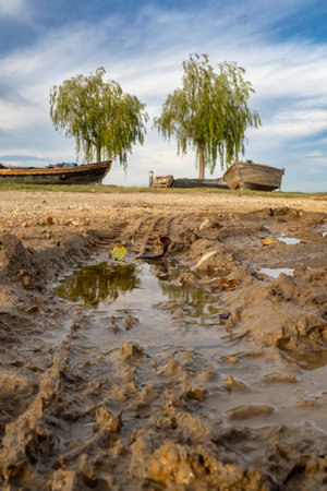 Old wooden boat in the mud with a weeping willow in the background