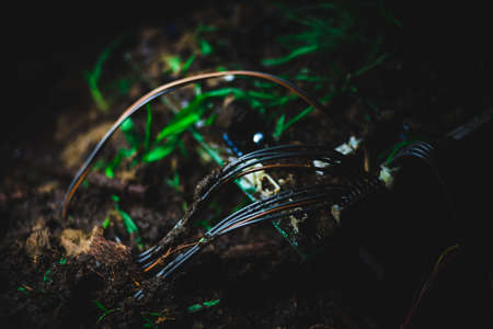 Motherboard in the dirt