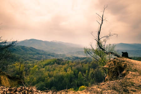 Beautiful scenery in the Carpathian Mountains