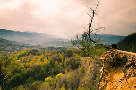 Peaceful landscape through the valley somewhere in the Carpathian Mountainsの写真素材