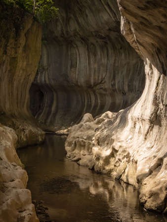 Natural karst canyon in Romaniaの写真素材
