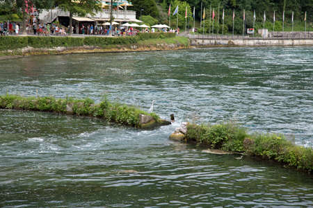 Rhine Falls at Schaffhausenの写真素材