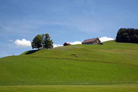 Meadow landscape with small cloudsの写真素材
