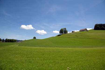 Meadow landscape with small cloudsの写真素材