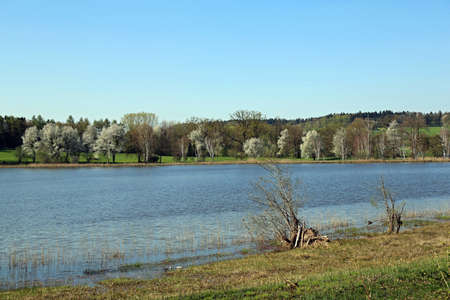 Meadow landscape with lakeの写真素材