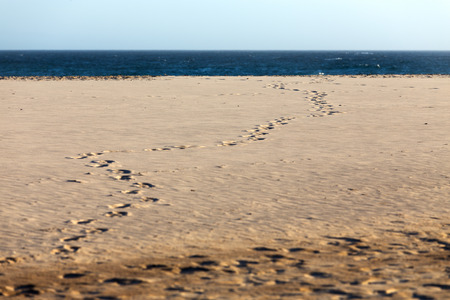 Footprints in the sand on a summer beach winding towards the deep blue ocean and the distant...