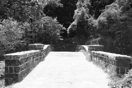 Stone Bridge into forest Black and Whiteの写真素材