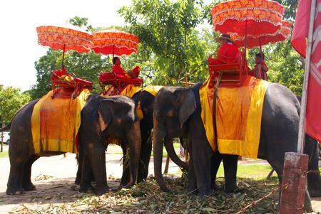 AYUTTHAYA, THAILAND - SEPTEMBER 6: Thai people on an elephant ride tour of the ancient city on September 6, 2010 in Ayutthaya.                      のeditorial素材