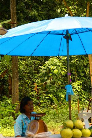 NAKON NAYOK, THAILAND - SEPTEMBER 14: Thai woman sells Thai fruit on September 14, 2010 in Nakon Nayok.                   のeditorial素材