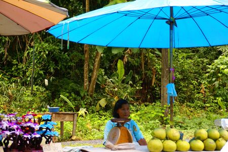 NAKON NAYOK, THAILAND - SEPTEMBER 14: Thai woman sells Thai fruit on September 14, 2010 in Nakon Nayok.                   のeditorial素材