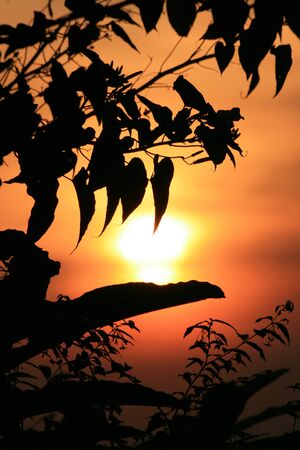 Sunset, Thailand.の写真素材