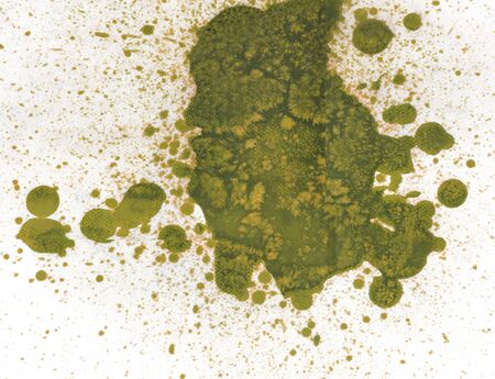 Paint on white paper. の写真素材