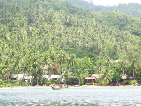  Stock Photo: Beach in Koh Tao, Thailand.                               の写真素材