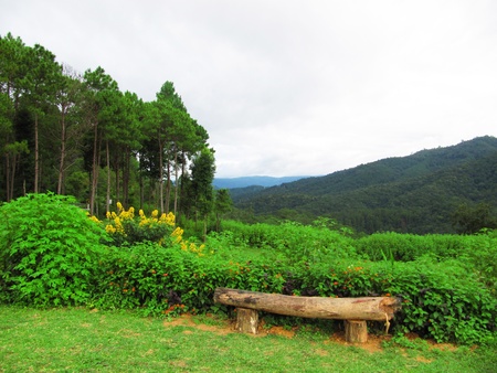 Landscape in Vietnam                        の写真素材