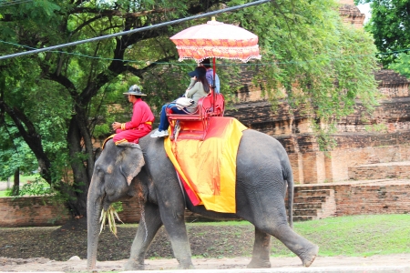 AYUTTHAYA, THAILAND - JULY 28  Thai people transport tourists for an elephant ride tour of the ancient city on 28, July 2012 in Ayutthaya のeditorial素材