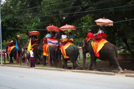 AYUTTHAYA, THAILAND - JULY 28  Thai people transport tourists for an elephant ride tour of the ancient city on 28, July 2012 in Ayutthaya のeditorial素材