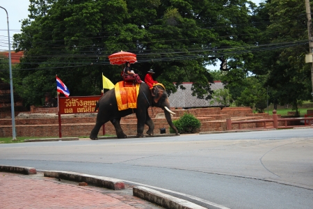  AYUTTHAYA, THAILAND - JULY 28  Thai people transport tourists for an elephant ride tour of the ancient city on 28, July 2012 in Ayutthaya のeditorial素材