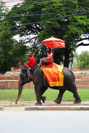 AYUTTHAYA, THAILAND - JULY 28  Thai people transport tourists for an elephant ride tour of the ancient city on 28, July 2012 in Ayutthaya のeditorial素材