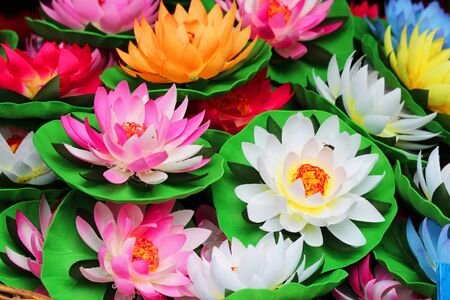 Flowers in Thailand の写真素材