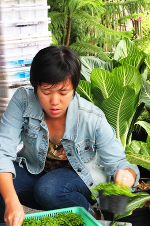 BANGKOK - AUGUST 20  Thai people selling things outside in Chatuchak market on August 20, 2012 in Bangkok, Thailand のeditorial素材
