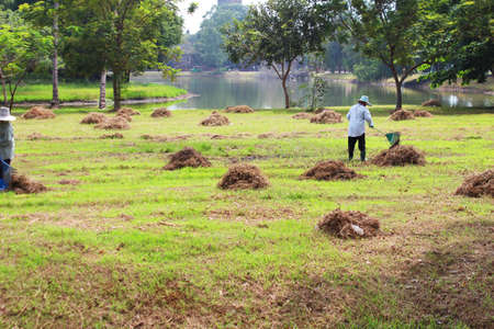 People working outdoors in Ayutthaya, Thailand 