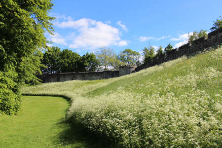 Medieval Stone Walls of York, England の写真素材
