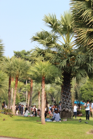 City centre Park, Bangkok, Thailand のeditorial素材