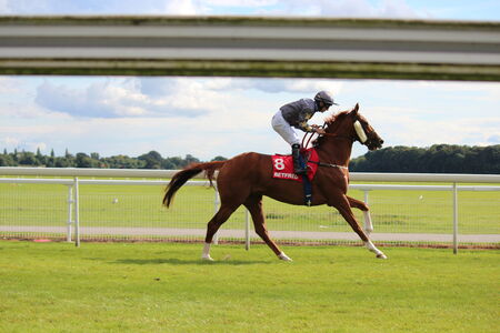 Horse Racing in Yorkshire, England.のeditorial素材