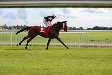 Horse Racing in Yorkshire, England.のeditorial素材