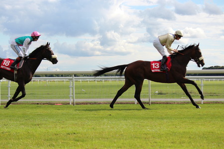 Horse Racing in Yorkshire, England.のeditorial素材