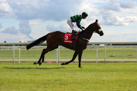 Horse Racing in Yorkshire, England.のeditorial素材