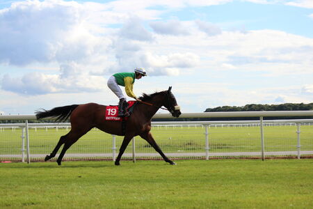 Horse Racing in Yorkshire, England.のeditorial素材