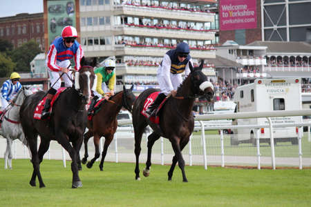 Horse Racing in Yorkshire, England.のeditorial素材