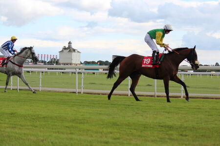 Horse Racing in Yorkshire, England.のeditorial素材