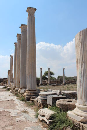 Salamis Ancient Roman City, Cyprus.の写真素材