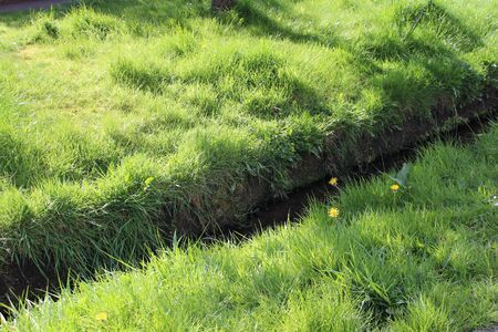 Village Stream Highlighted by Evening Sun, Englandの写真素材
