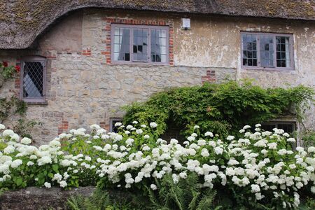Thatched Cottage in Rural England.のeditorial素材