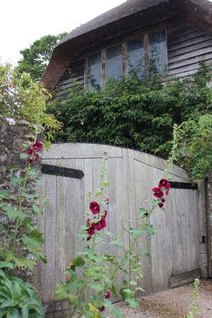 Thatched Cottage in Rural England in Summerのeditorial素材