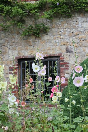 Thatched Cottage in Rural England in Summer.の写真素材