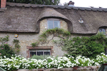 Thatched Cottage in Rural England in Summerのeditorial素材