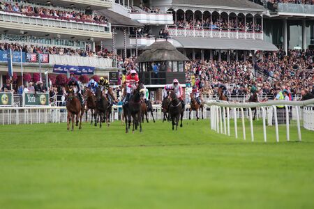 Horses Galloping at York Races, August 2015.のeditorial素材