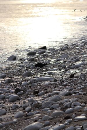 Bridlington Beach At Sunset, Yorkshire.の写真素材