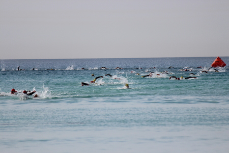 Ayia Napa Triathlon, Cyprus, Sunday 3rd April 2016 ~ 750m Swim.のeditorial素材