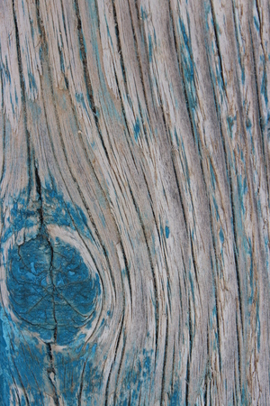 Textured Wood / Turquoise Paint Background.の写真素材