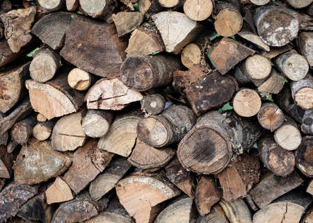 End view of cut and split logs ready for the wood furnace.