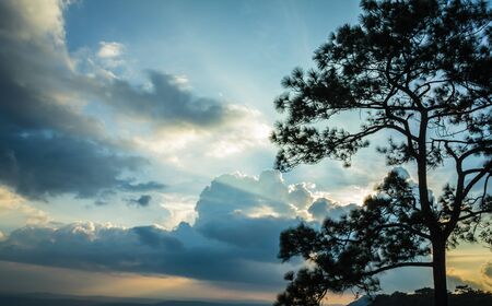 Beautiful sunset at Phu kradueng national park in thailand, Landscape photoの写真素材