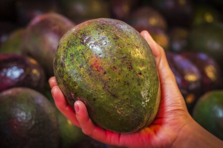 Hand holding fresh avocado at the market.