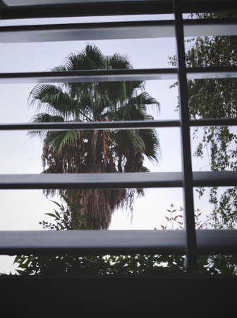 moody dayの写真素材